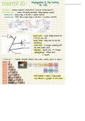 GENERAL BIOLOGY II NOTES