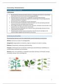 document-image